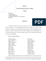 Referat 1 - Interferente Lingvistice Romano-Bulgare