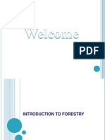 Basics of forestry.pptx