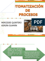 Automatizacion de Procesos