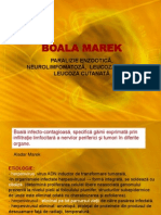 21332353-Lab-11-Boala-Marek