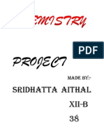 Project: Sridhatta Aithal Xii-B 38