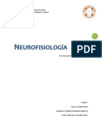 Traduccion Paper Neurofisiología