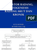 Patogenesis Radang Akut Dan Kronik