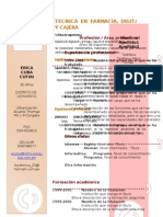 Curriculum Vitae Modelo3c Granate