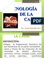 Tecnologia de La Carne