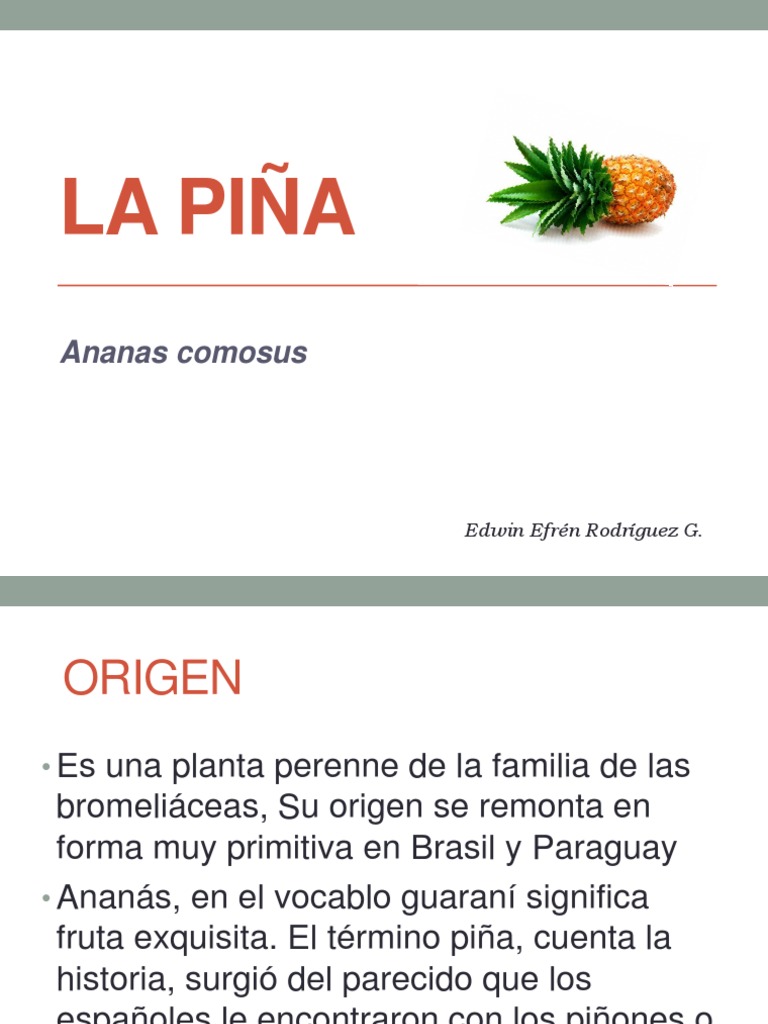 La Piña | PDF | Piña | Plantas
