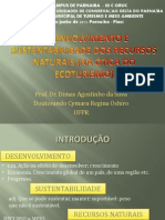 Desenvolvimento e Sustentabilidade dos Recursos Naturais na Ótica