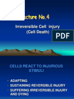 Irreversible Cell Injury (Cell Death)