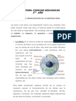 Niveles de Organización de La Materia Viva