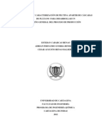 Trabajo de Grado-Extraccion y Caracterizacion de Pectina Apartir de Cascaras de Platano para Desarrollar Un Diseño Genera 1