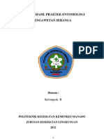 Laporan Praktek Entomologi PENGAWETAN SERANGGA Paket II PDF