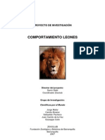 Comportamiento Leones