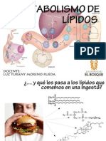 Metabolismo de Lípidos I