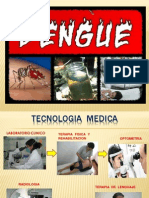 Expo, Dengue