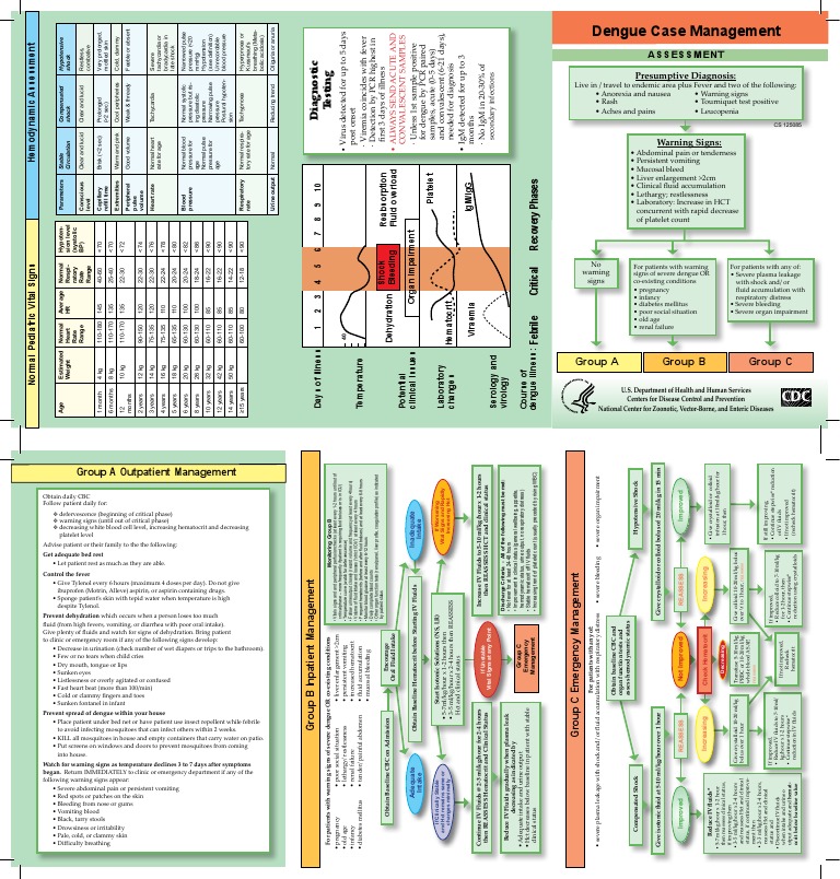 Dengue | PDF