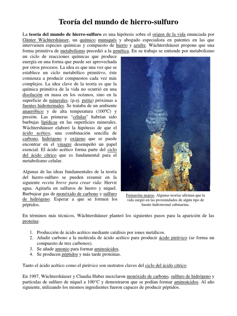 Teoria del hierro sulfuro