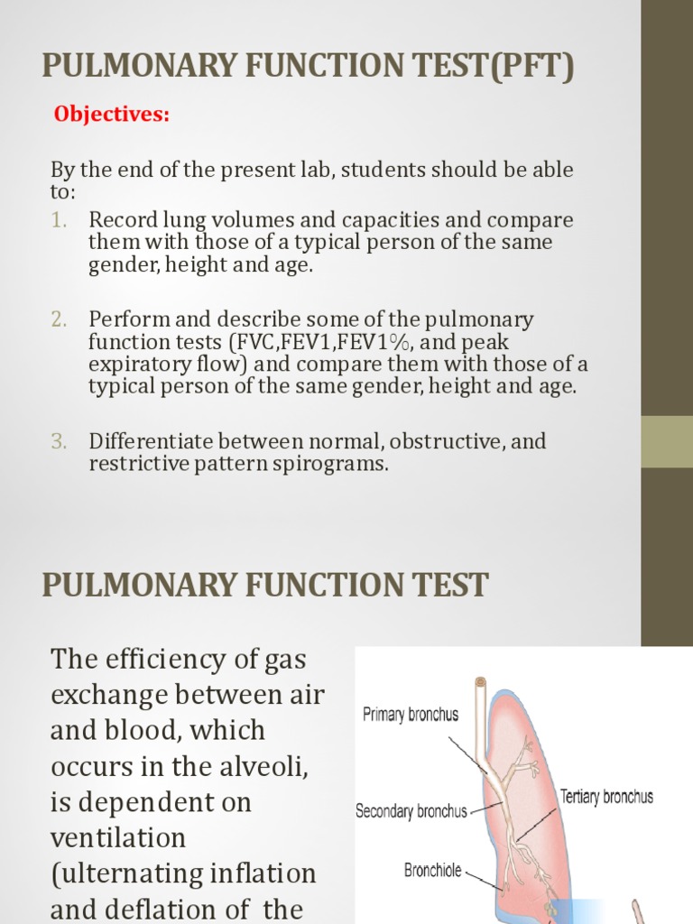 Pulmonary Function Test Pft Exhalation Lung