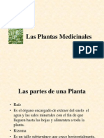 15242434 Las Plantas Medicinales