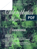 Clorofitas, Algas Verdes