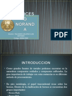 Proceso Noranda_ Expo 11-12-2012