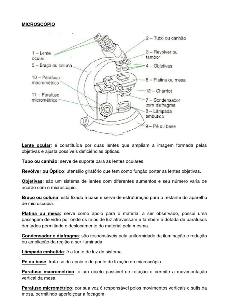 Partes e Funções do Microscópio | PDF | Lente (ótica) | Ótica