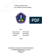 Download Makalah Gizi Kuliner Turki by IzzuddienSobri SN153040380 doc pdf