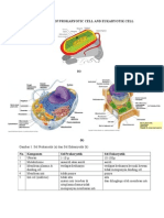 Diferrences of Prokaryotic Cell and Eukaryotik Cell