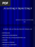 Presentacion Diagrama Auditoria Tributaria