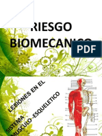 Riesgo Biomecanico