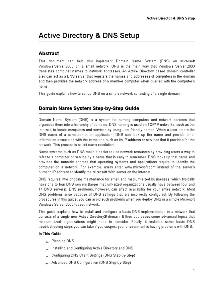Active Directory DNS | PDF | Internet Protocols | I Pv6