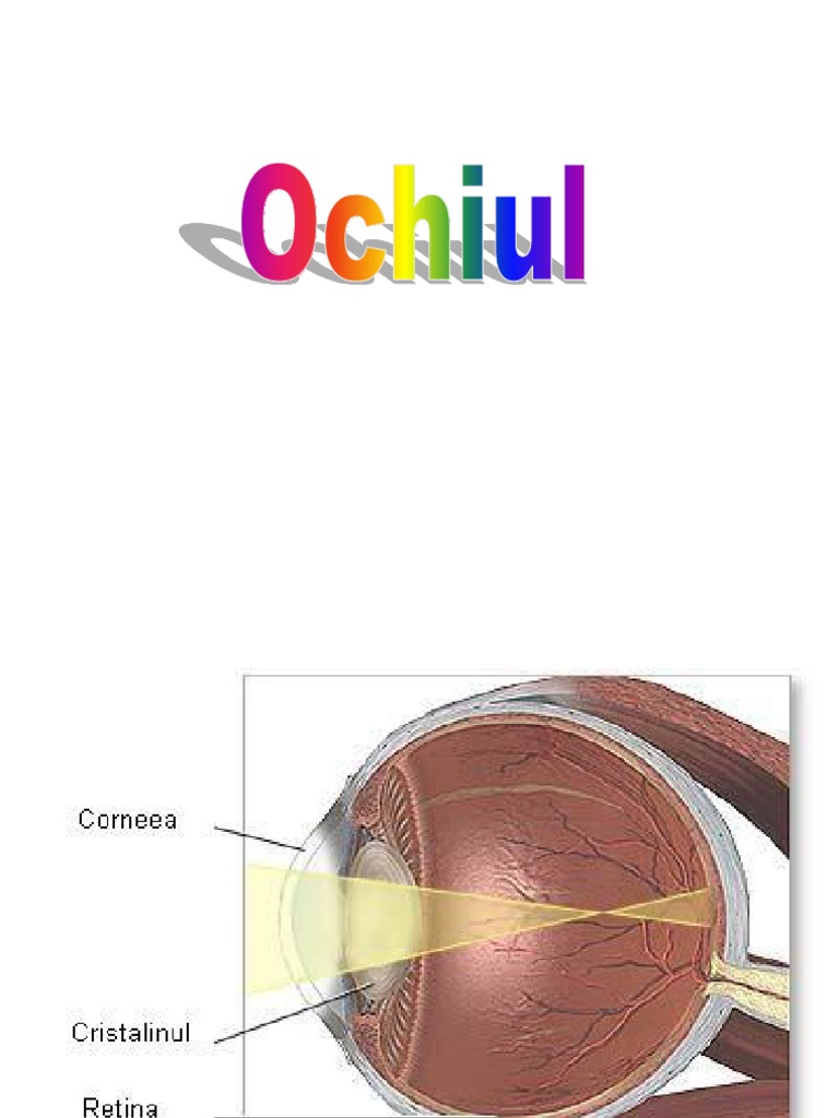 Biologie Ochiul | PDF