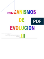 Mecanismos de Evolucion III