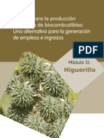 Cultivo Higuerilla