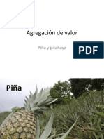 Producción y exportación de piña y pitahaya en Nicaragua