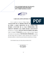 Evaluación de la prueba piloto de combustión en sitio