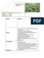 Ficha Tecnica de La Acelga