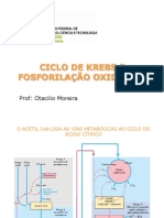 Ciclo de Krebs e Fosforilação Oxidativa