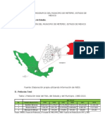 Diagnostico Demografico Del Municipio de Metepec