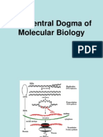 Central Dogma