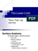 12 - Lower Extremity Grays