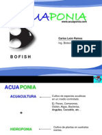 9662026-Acuaponia