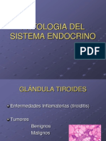 Patologia Del Sitema Endocrino 1217556112241490 9