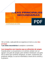 Ideas Principales y Secundarias