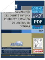Programa Maestro Camaron Final 2009 PDF