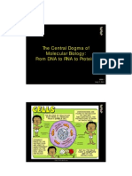 Central Dogma of Biology and Recombinant DNA Technology