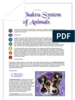 Chakra System of Animals FACT SHEET