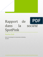 Extrait Du Rapport de Stage Chez Spotpink Paulina