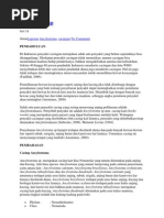 Download Ancylostoma canninum by erinnurbadriah SN153368260 doc pdf