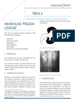 Uro T03 PDF