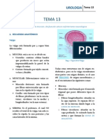 Uro T13 PDF